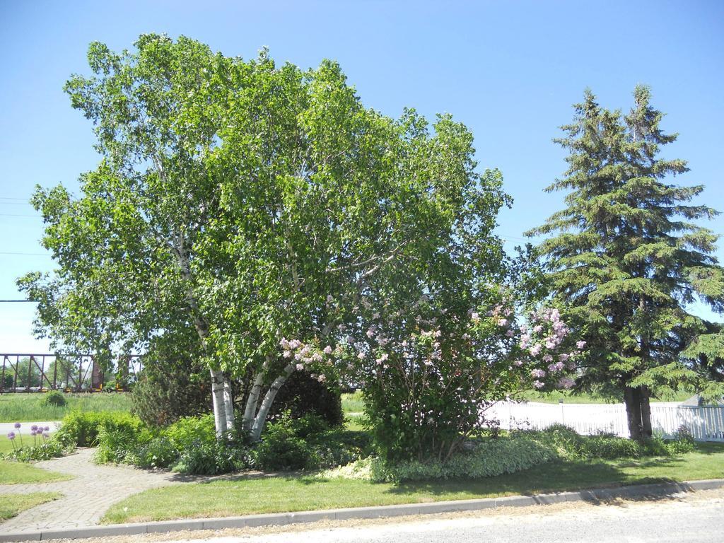 Motel Normandie Louiseville Экстерьер фото